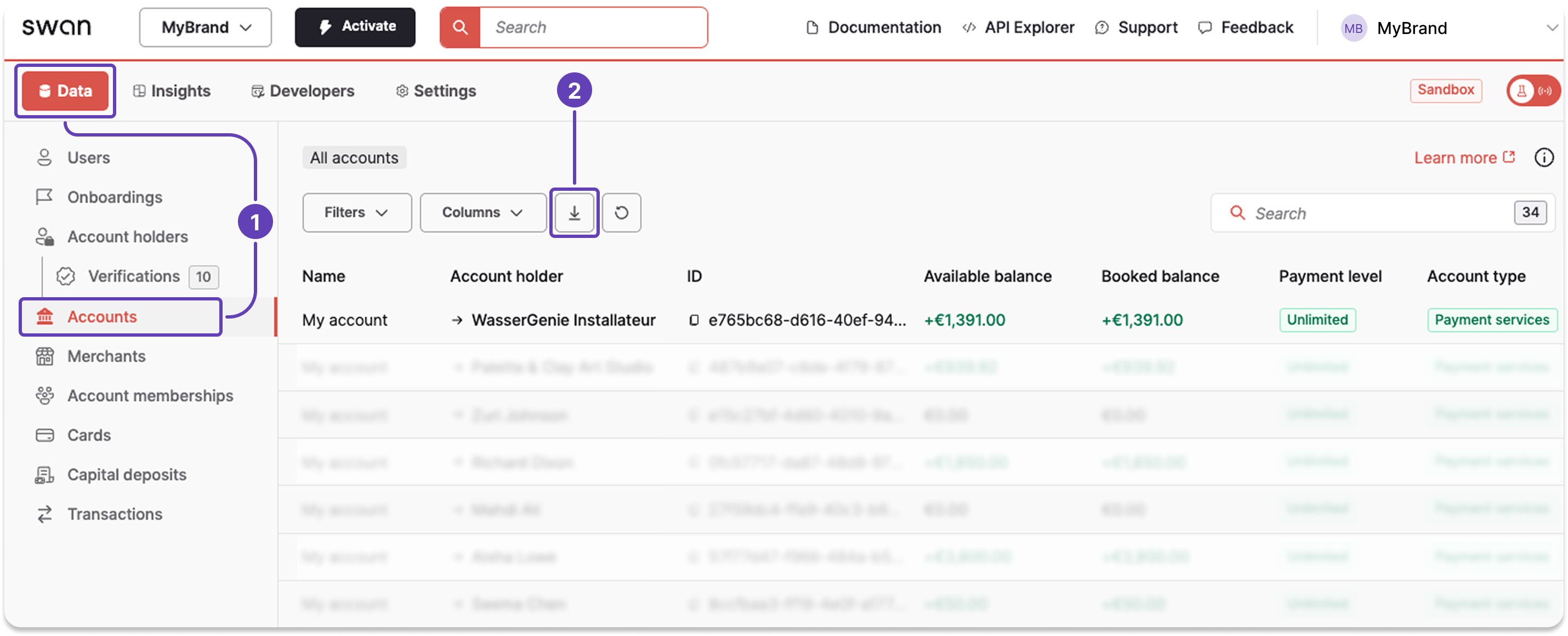 Screenshot of Swan Dashboard accounts page with a callout download icon to trigger an export